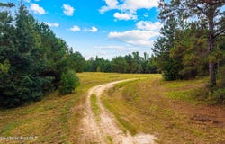 1725 Claud Fleahop Rd, Eclectic, AL 36024
