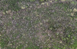 11.32 acre County Road 2228 (A), Hartman, AR 72840