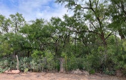 N Ave T, Snyder, TX 79549