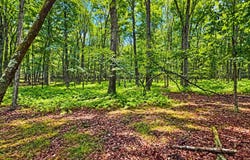 293 Red Rock Circle, Hawley, PA 18428