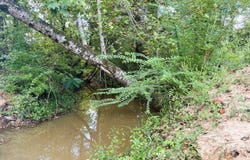 8172 Co Rd 30, Magnolia, AL 36754