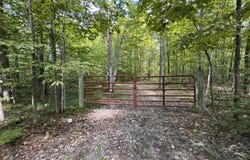 V/L Adams Road, Wolverine, MI 49799