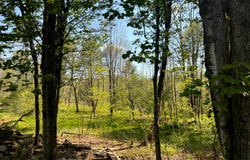 1.9 Curtiss Rd, Camden NY, NY 13316