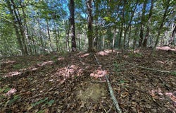 Panther Creek Road, Oark, AR 72854