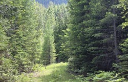 5784 River Rd, Clark Fork, ID 83811