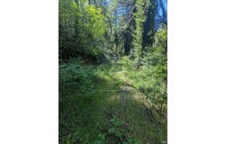 Skaggs Springs Road, Geyserville, CA 95441