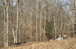 869 N Hwy 708, Beattyville, KY 41311