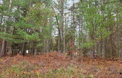 Battalion Boulevard, Grayling, MI 49738