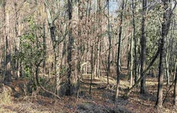 HIGHLAND STREET lot: 8, GLENCOE, AL 35903