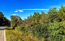 Nathan Jordan Rd, Millry, AL 36558