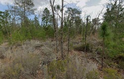 423 Dothan St, Interlachen, FL 32148