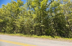 Pleasant Mount Drive, Forest City, PA 18421