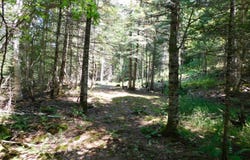 Cloutiers Loop, Pittsburg, NH 03592
