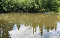 Pittman Road, Maynard, AR 72444