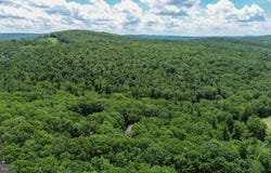N GLADE Road, SWANTON, MD 21561