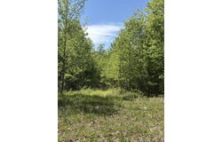 Davis Lane, Aroda, VA 22709
