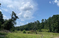 CR 345, Piedmont, MO 63636
