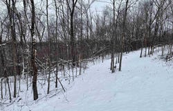 79 Acres, Byers Rd, Boscobel, WI 53805