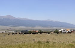 124 Mission Circle, Westcliffe, CO 81252
