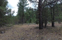 Robison Rd., Macdoel, CA 96058