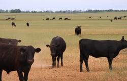 918 NW30RD, Attica, KS 67009