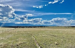 5897 Amanda Lane, Rye, CO 81069