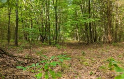 4 104th Avenue, South Haven, MI 49090