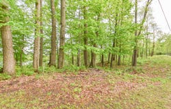 2480 Bluff Drive, Reading, MI 49274