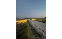 1 County Road M, New Home, TX 79383