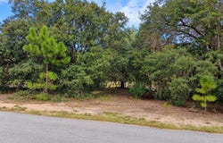 SE MALAUKA LOOP RUN Road, OCKLAWAHA, FL 32179