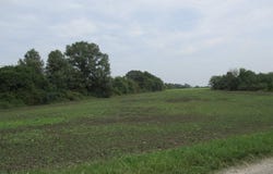 Angling Rd #6, Richmond, MI 48062