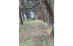 10500 E 329th Street, Drexel, MO 64742