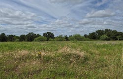 FM 175, Henrietta, TX 76365