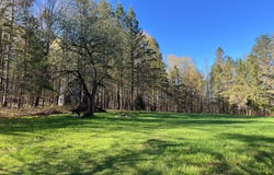 325 Lafaver Rd, Russell, NY 13684