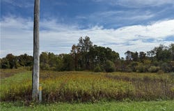 Macintyre, Deerfield, NY 13502