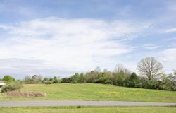 Bluebank Road, Morehead, KY 40351