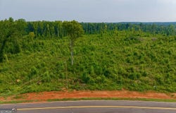 Haley Road lot: 2, Jackson, GA 30233