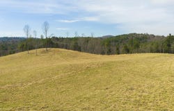Carsonville Road, Independence, VA 24348