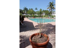 2127 Shoma Drive, Royal Palm Beach, FL 33414
