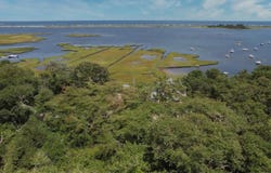 49 The Boulevard, Edgartown, MA 02539
