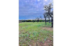Stage Coach Trail, Gordon, TX 76453