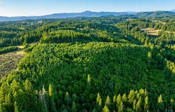 Finalburg Rd, LaCenter, WA 98629