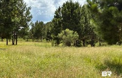 Boros Road, Elberta, AL