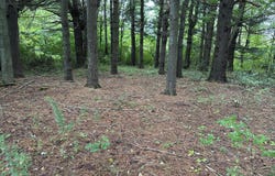 Todd Rd, Gilboa, NY 12076