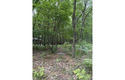 Wayne Road lot: 127, Pentwater, MI 49449
