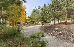 171 Whip Way, Hartsel, CO 80449