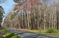 SAVAGE NECK RD lot: 5, EASTVILLE, VA 23347