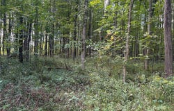 Center Road, Conneaut, OH 44030