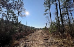 County Road 219, Selma, AL 36701