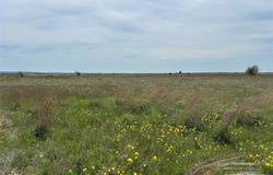 County Road 619, Hamilton, TX 76531